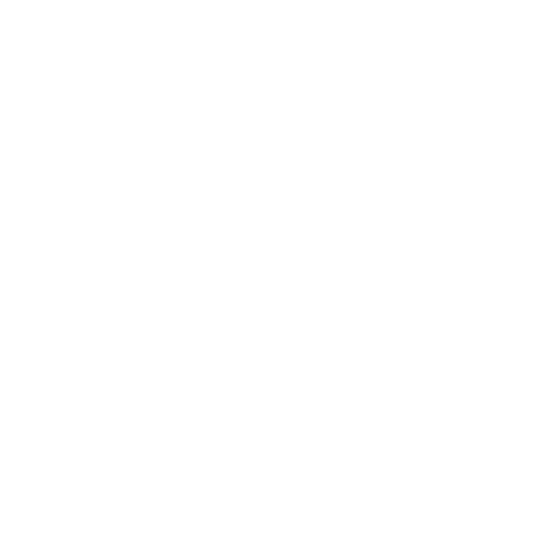 Vortex Optics